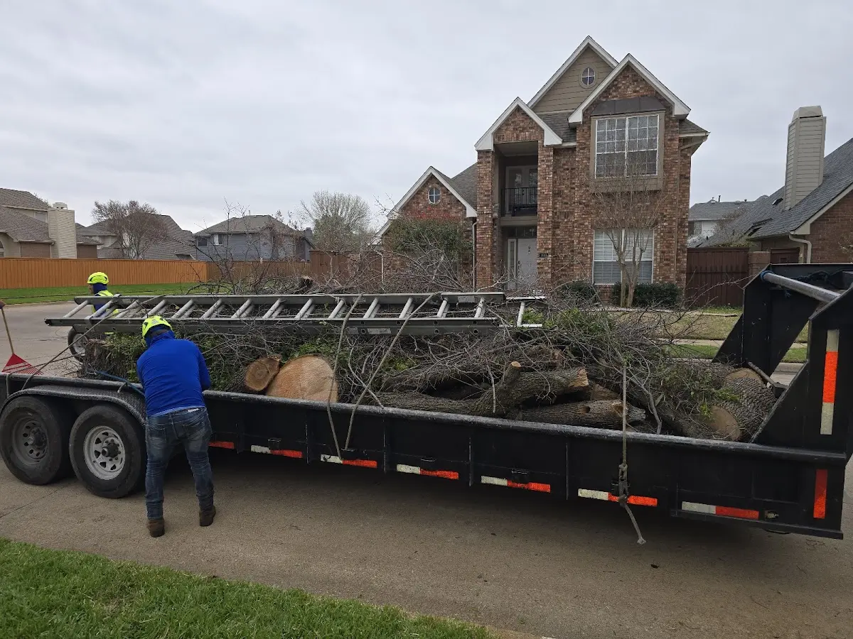 Expert Tree Removal with proper safety equipment in Niobrara